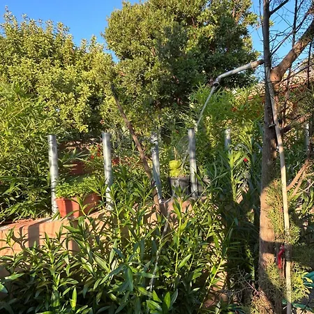 Sa Ruxi Villa *